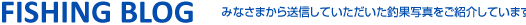 釣果情報